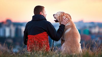 Hundehalterhaftpflicht Hundehalterhaftpflicht