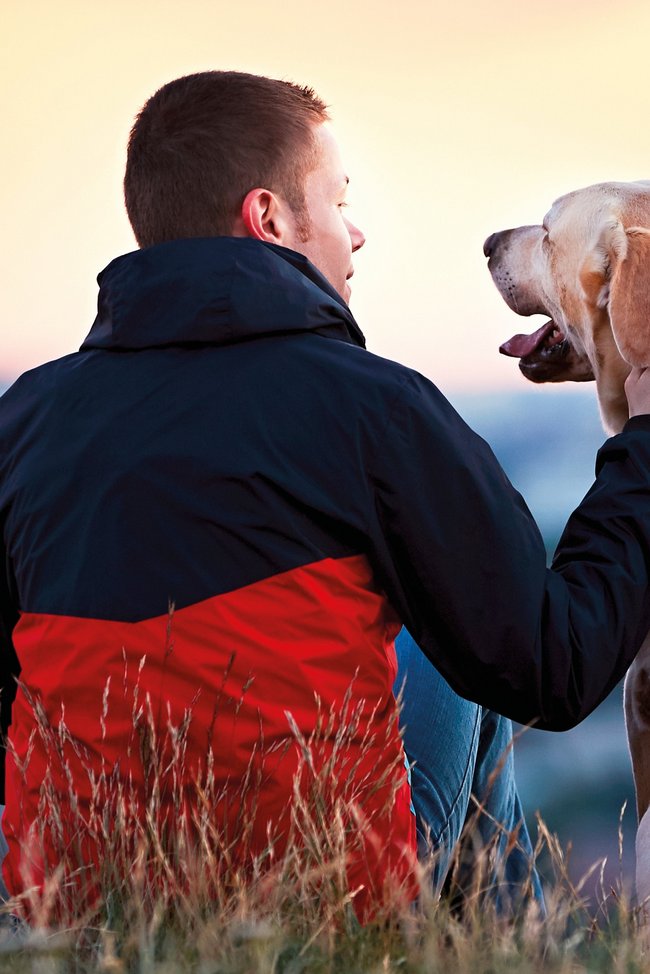 Symbolbild Hundehalterhaftpflicht zeigt sitzenden Mann mit Hund im Sonnenuntergang